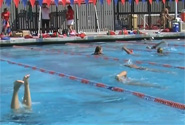Swimming and Dive Team [video]