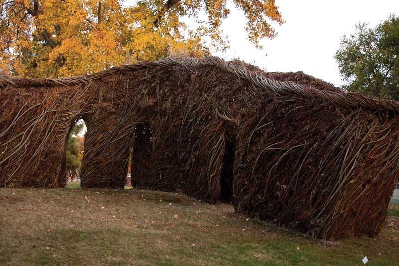 The+willow+tree+structure+being+built+in+front+of+the+Conley+Art+Building+by+Patrick+Dougherty+will+stay+on+campus+until+it+falls+apart.+This+piece+of+art+is+made+with+natural+materials+that+won%E2%80%99t+harm+the+environment.%0D%0APhotos+by+Dalton+Runberg+%2F+The+Collegian