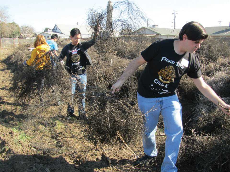 Circle K International members Danny Vo (left) and Bradley Miller (right) removed tumbleweeds at the Boggs Tract community farm at Stockton.
