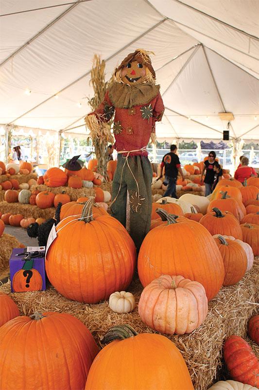 Megan Rupe / The Collegian

Planet Pumpkin, on 640 E. Nees Ave. in Fresno, has two tents of pumpkins, a Ferris wheel, slide, bumper cars and a variety of activities including face painting.
