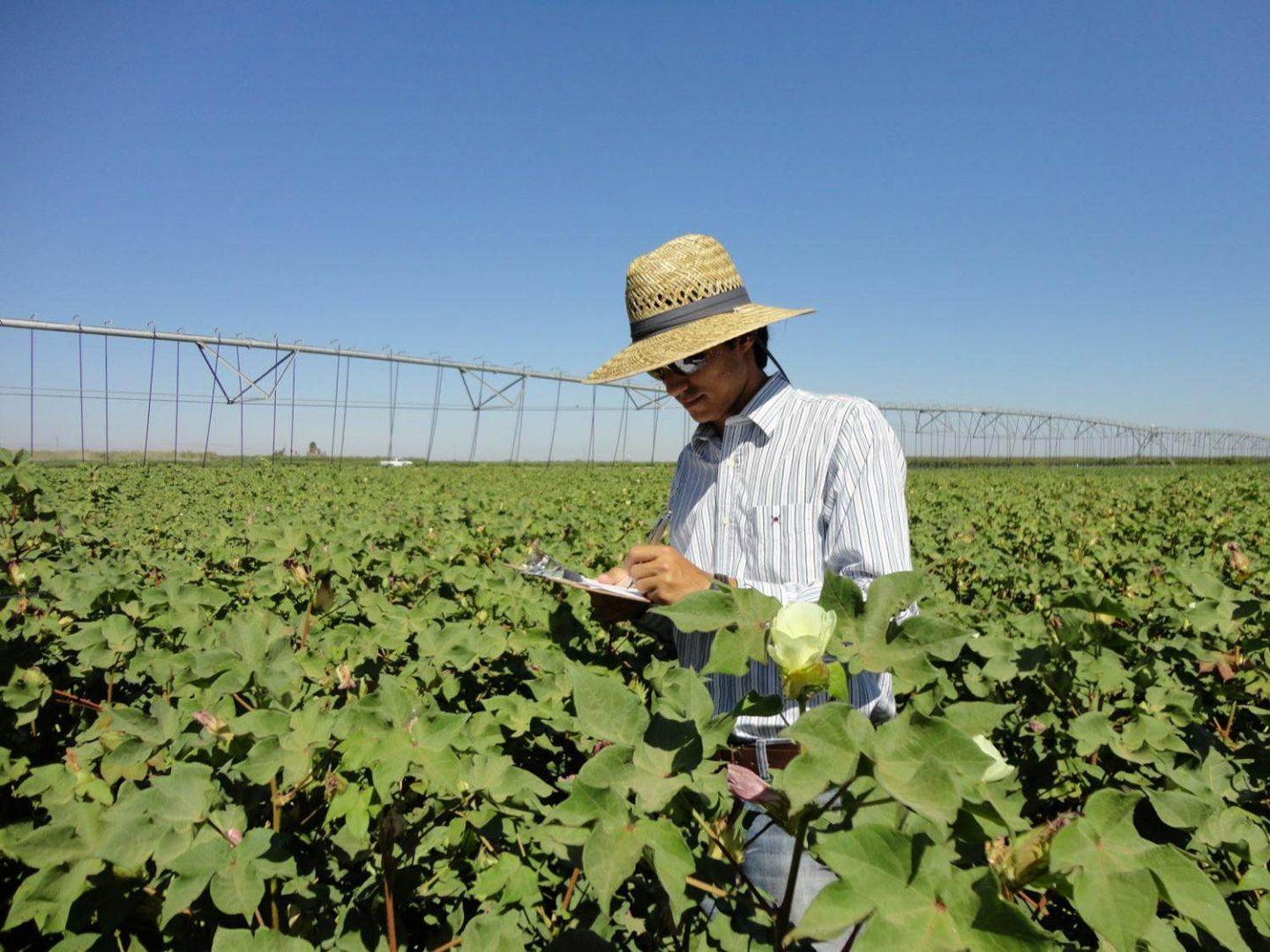 Photo courtesy of Dr. Sharon Benes

Caio Diaz, an undergraduate research intern from Brazil, helps a graduate student gather data for their thesis research on conservation agriculture systems for cotton production.