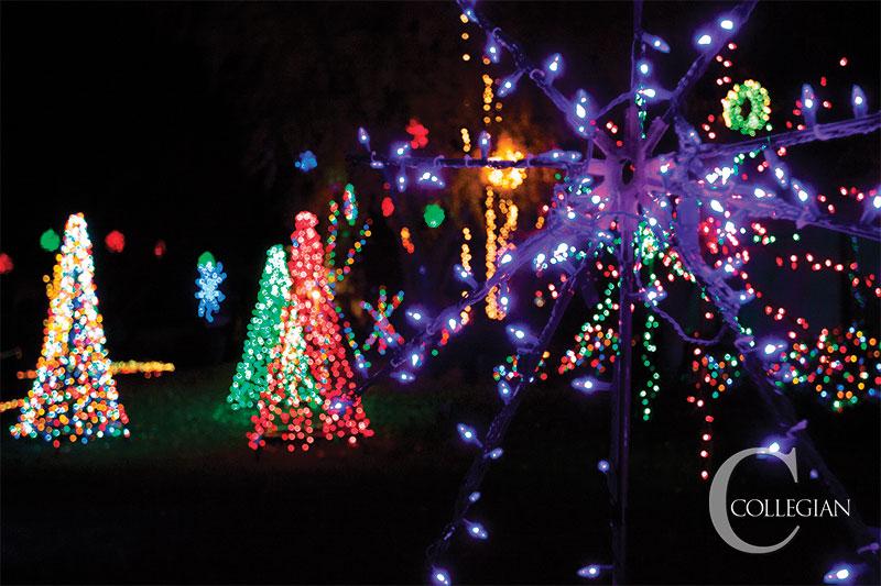 Students light up Christmas Tree Lane