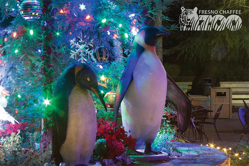 Photo by Heather Davis

The Fresno Chaffee Zoo is decorated for Zoo Lights, an event during which visitors can walk through the zoo, enjoy hot chocolate and cookies and take photos with Santa.
