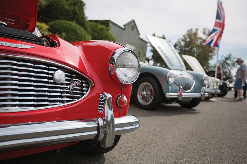 Darlene Wendels / The Collegian
The annual British Car Roundup featured British car makes and models such as Triumph, Jaguar, Lotus, Morris Garage, MINI Cooper and other car makers from the early to late 20th century. 