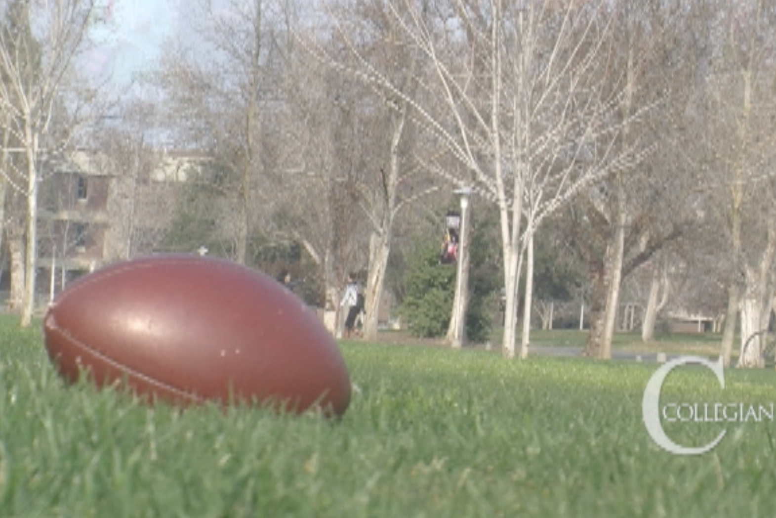 Super Bowl Predictions on Campus