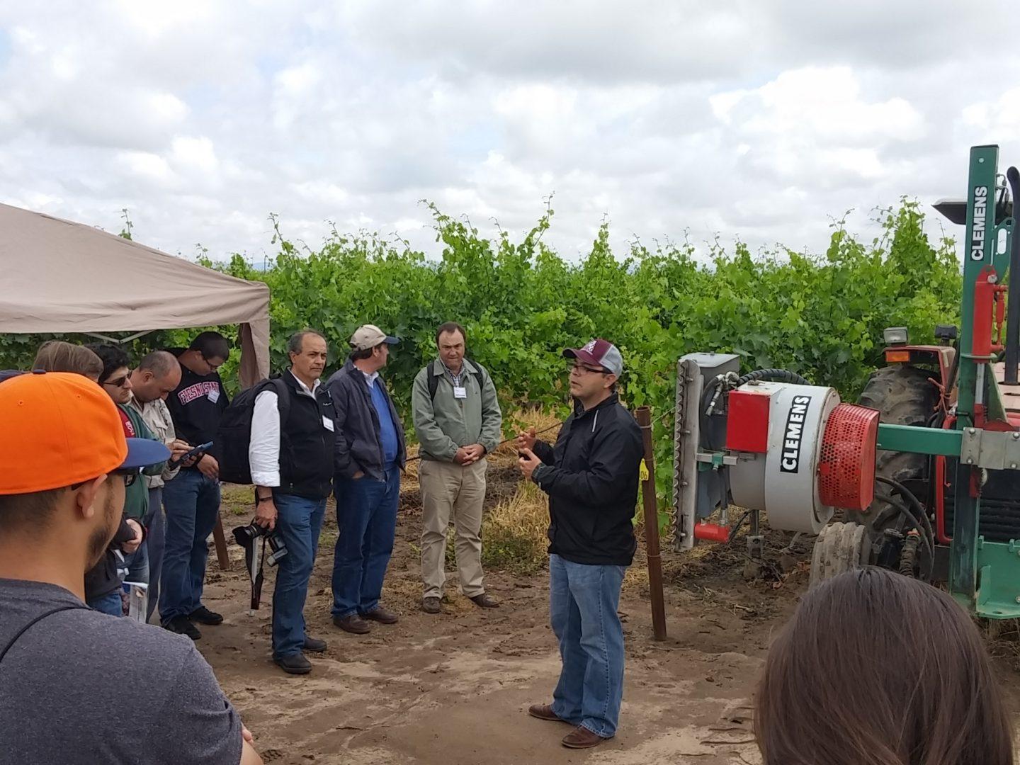 New Vineyard technologies offer improvements in wine grape yield and quality