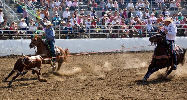 Volunteers make clovis rodeo go round and round