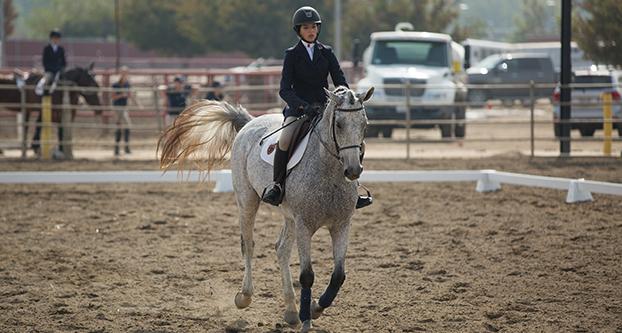 Fresno State rider Alexandra Drickson and horse Gator compete in the Equitation on the Flat event Saturday afternoon against No. 7 Texas A&M at the Student Horse Center. (Darlene Wendels/The Collegian)