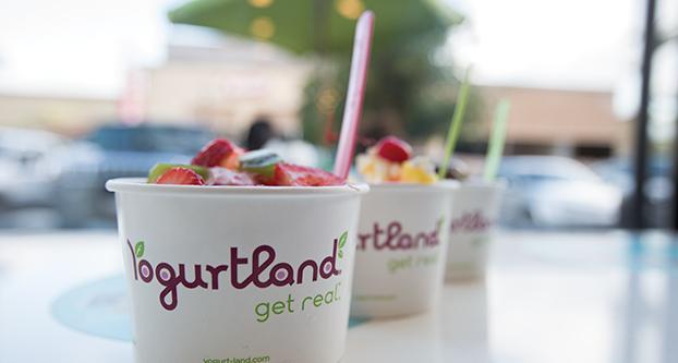 A+cup+of+cherry+tart+yogurt+topped+with+fresh+fruit+at+Yogurtland%2C+located+in+the+Campus+Pointe+shopping+center%2C+the+day+after+it%E2%80%99s+grand+opening%2C+Sunday%2C+April+10%2C+2016.+%28Darlene+Wendels%2FThe+Collegian%29
