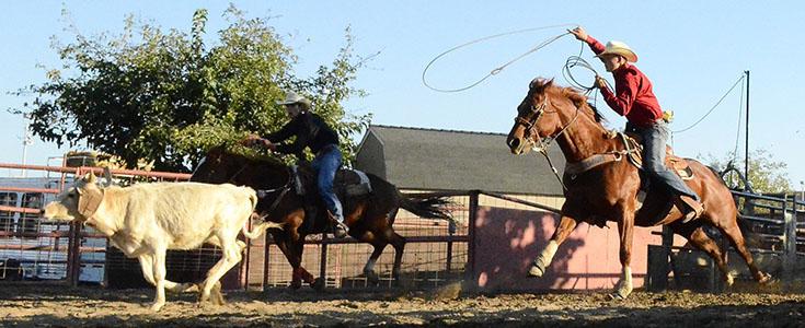 Two Fresno State Rodeo Club members compete in a team roping competition in June 2016. (Courtesy of Fresno State Rodeo Club)