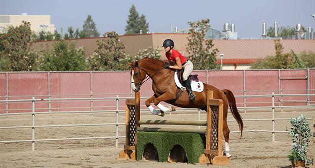 Hunt seat Genna Fogelberg during Fresno State’s red/blue scrimmage on Saturday, September 10, 2016, at the Student Horse Center. (Courtesy of the Fresno State Equestrian Facebook page)