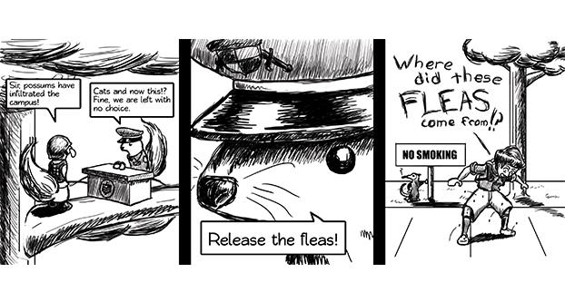 Release the fleas