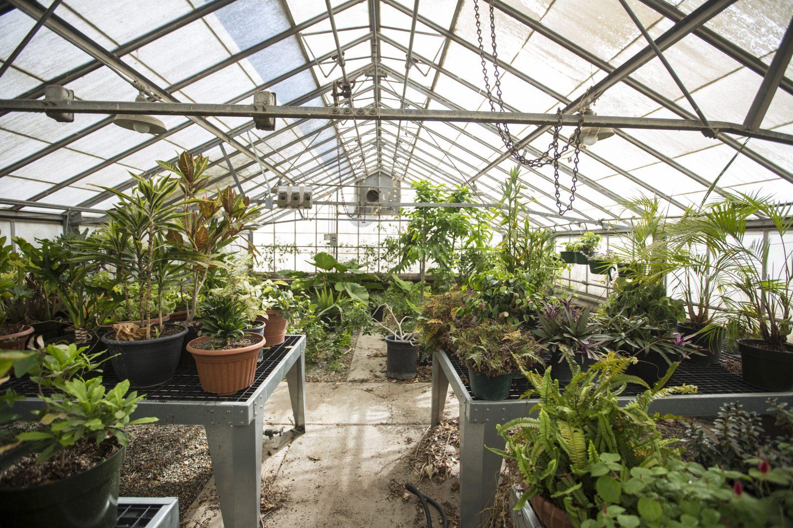 The misters inside this greenhouse refresh the plants inside one of the horticulture greenhouses on Oct. 9. The misters go off every minute or so to keep plants hydrated. (Daniel Avalos/The Collegian)