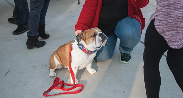 Victor E. Bulldog III poses for a photo with a woman on Feb. 14, 2017. Victor E. attended the quad grand opening event on Fresno State’s campus. (Daniel Avalos/The Collegian)