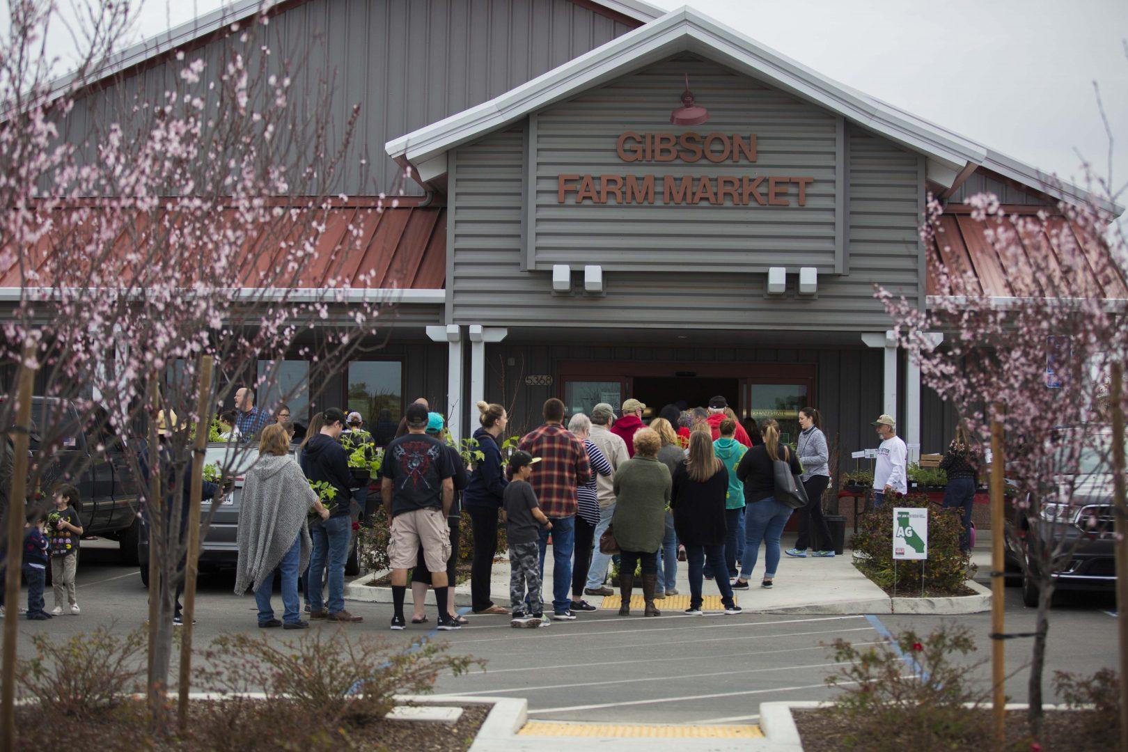 Patrons of the Gibson Market wait patiently in line in order to receive their deals on plants during Gibson Market Spring Plant Sale on March 10, 2018. The annual sale is hosted by the Fresno State Horticulture Nursery and provides the public with special priced organic and conventional spring plants. (Benjamin Cruz/The Collegian)