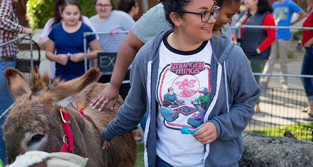 The Fresno State University Courtyard hosts a petting zoo outside Sequoia Hall for a chance  for students to destress before final examinations begin on April 30, 2018. (Benjamin Cruz/The Collegian)
