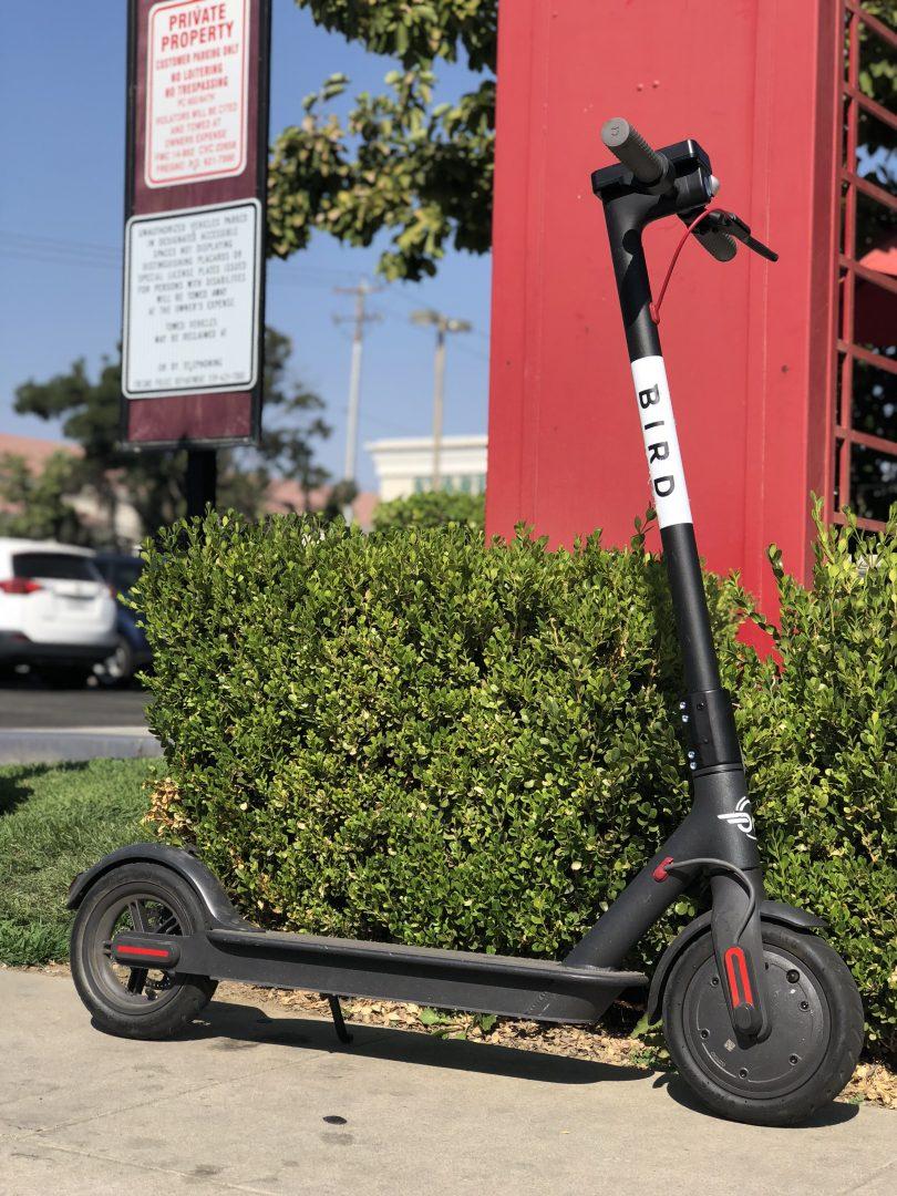 Bird scooters allowed on campus roadways, university says