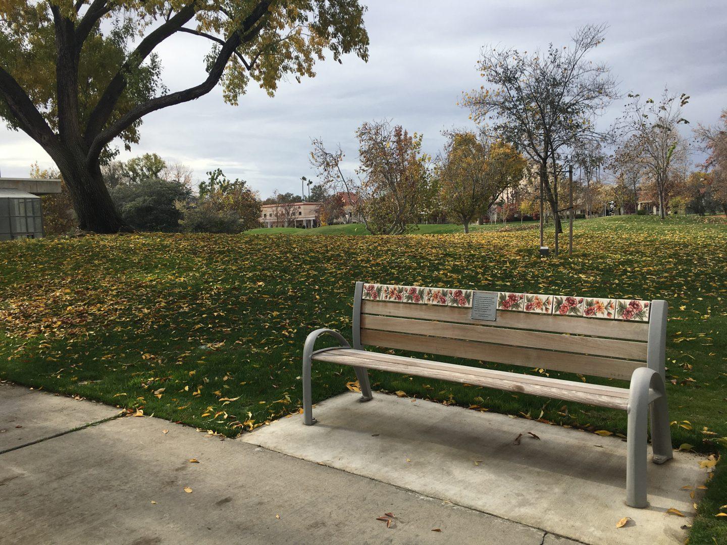 A+bench+and+a+Valley+Oak+tree+located+on+Fresno+State+campus+are+dedicated+to+poet%2C+community+activist+and+Fresno+State+student+Mireyda+Barraza+Martinez+who+died+in+an+automobile+crash+on+Nov.+20%2C+2016.+%28Melina+Ortiz%2FThe+Collegian%29
