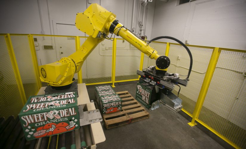 New robotic arm used to move and arrange boxes is featured at the universitys Bee Sweet Citrus Processing Laboratory. (Larry Valenzuela/The Collegian)