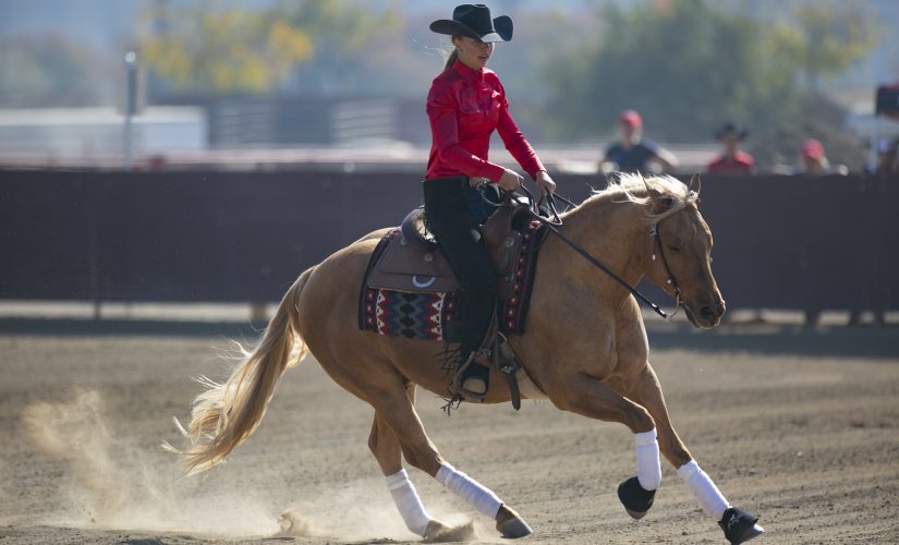 Bailey Alexander riding in the reining competition against University of Georgia at the Student Horse Center on Saturday, Nov. 9, 2019. (Larry Valenzuela/ The Collegian)