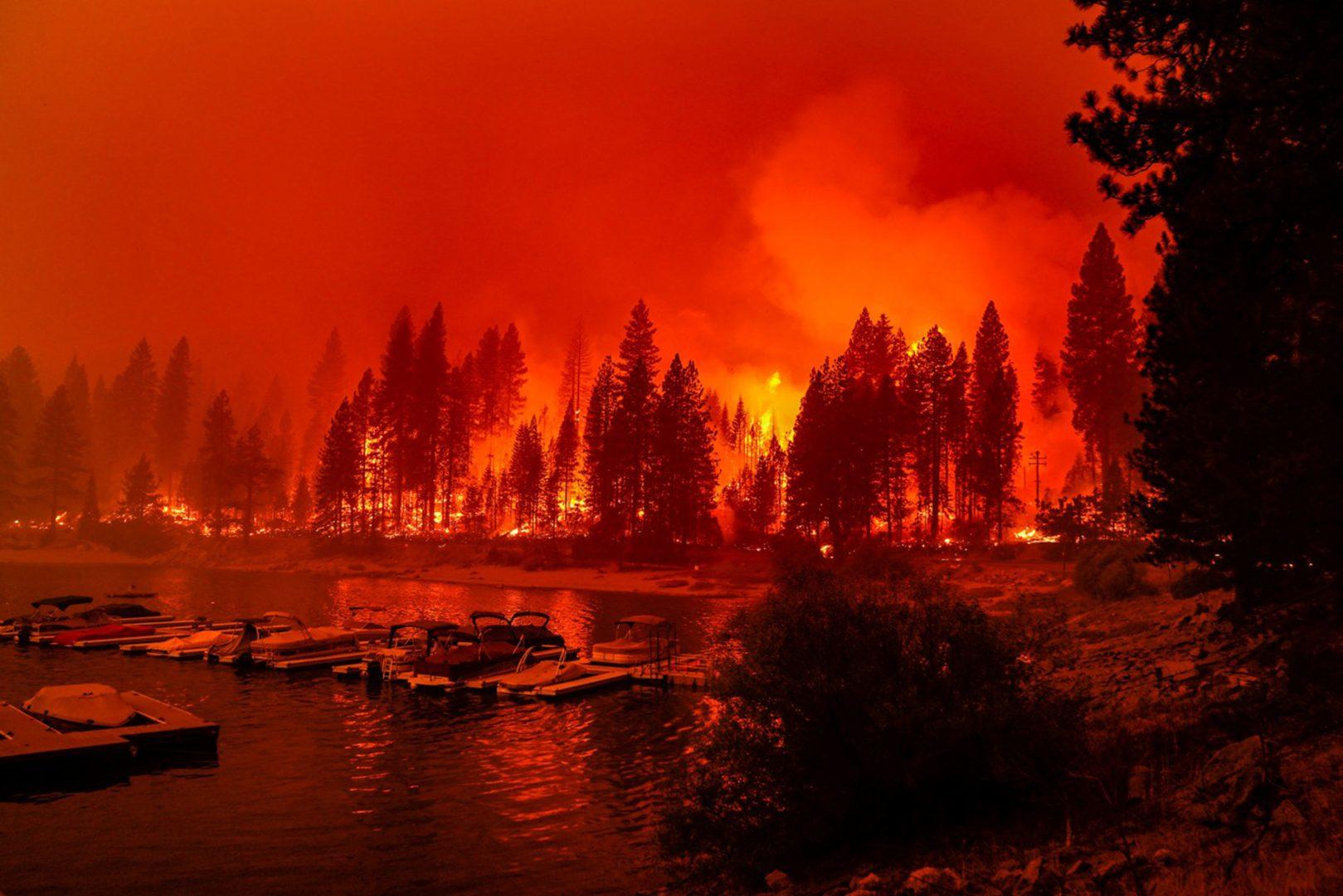 In this file photo, firefighters conduct a back burn operation along CA-168 during the Creek Fire as it approaches the Shaver Lake Marina on Sunday, Sept. 6, 2020 in Shaver Lake, CA. (Kent Nishimura/Los Angeles Times/TNS)