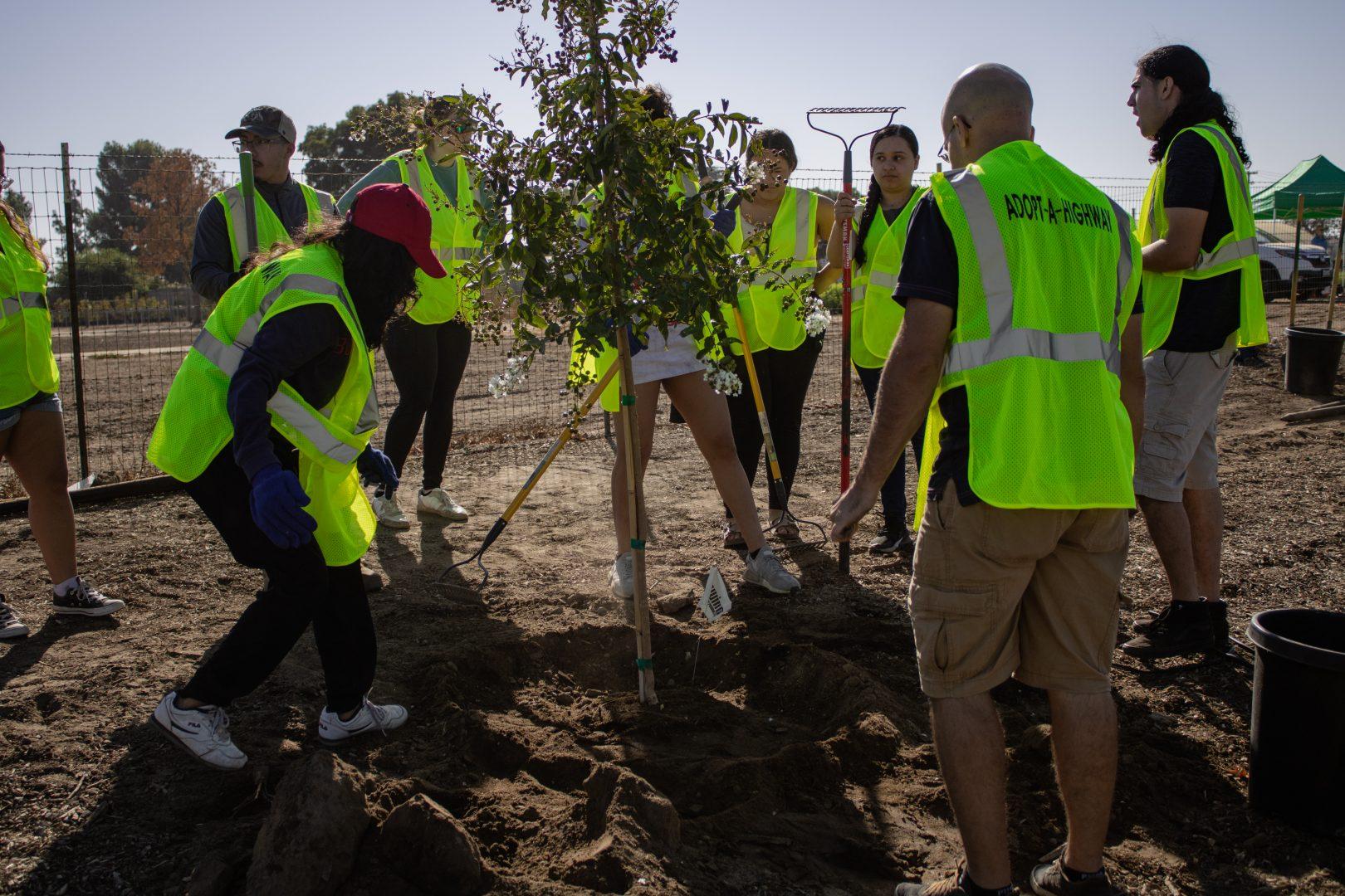 The event is a partnership between Fresno State and Tree Fresno as part of a multiple-phase plan to beautify the cam-
pus with more trees. The plan seeks to also improve the air quality of the campus. (Diego Vargas/The Collegian)