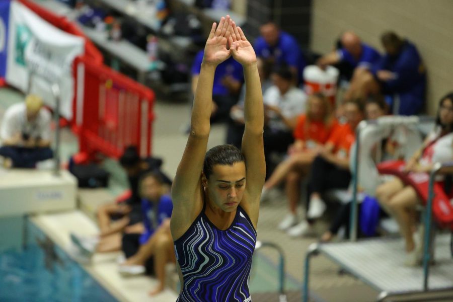 Diver Silvia Alessio at the Mountain West Championships in February. 