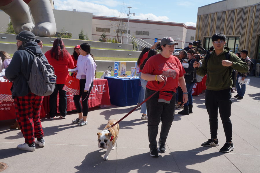 Victor E. Bulldog IV walks among the students and receives attention throughout the event. (Cesar Maya/The Collegian)