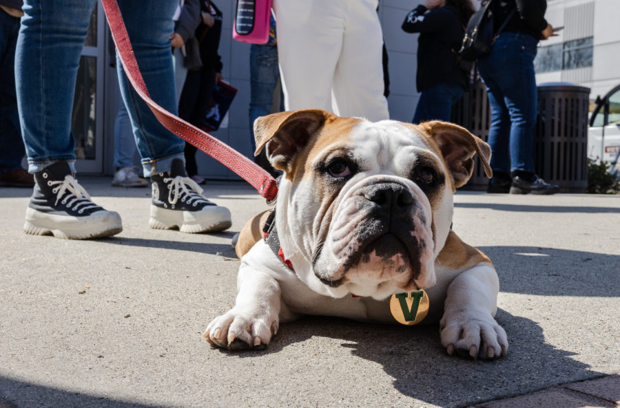 Victor E. Bulldog IV waits for the debut of Fresno State President Saúl Jiménez-Sandovals new booth on March 16 at the free speech area.