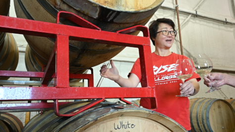 Bella Chueh, Fresno State viticulture and enology student and winery student assistant, evaluates wines in the campus winery barrel room.
