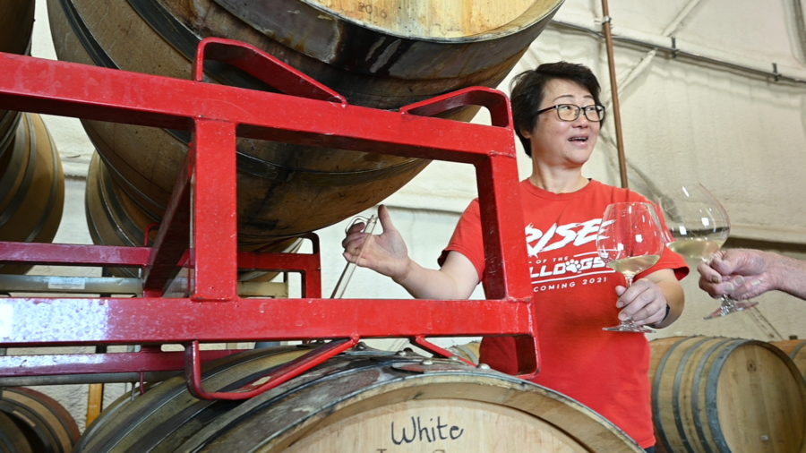 Bella+Chueh%2C+Fresno+State+viticulture+and+enology+student+and+winery+student+assistant%2C+evaluates+wines+in+the+campus+winery+barrel+room.