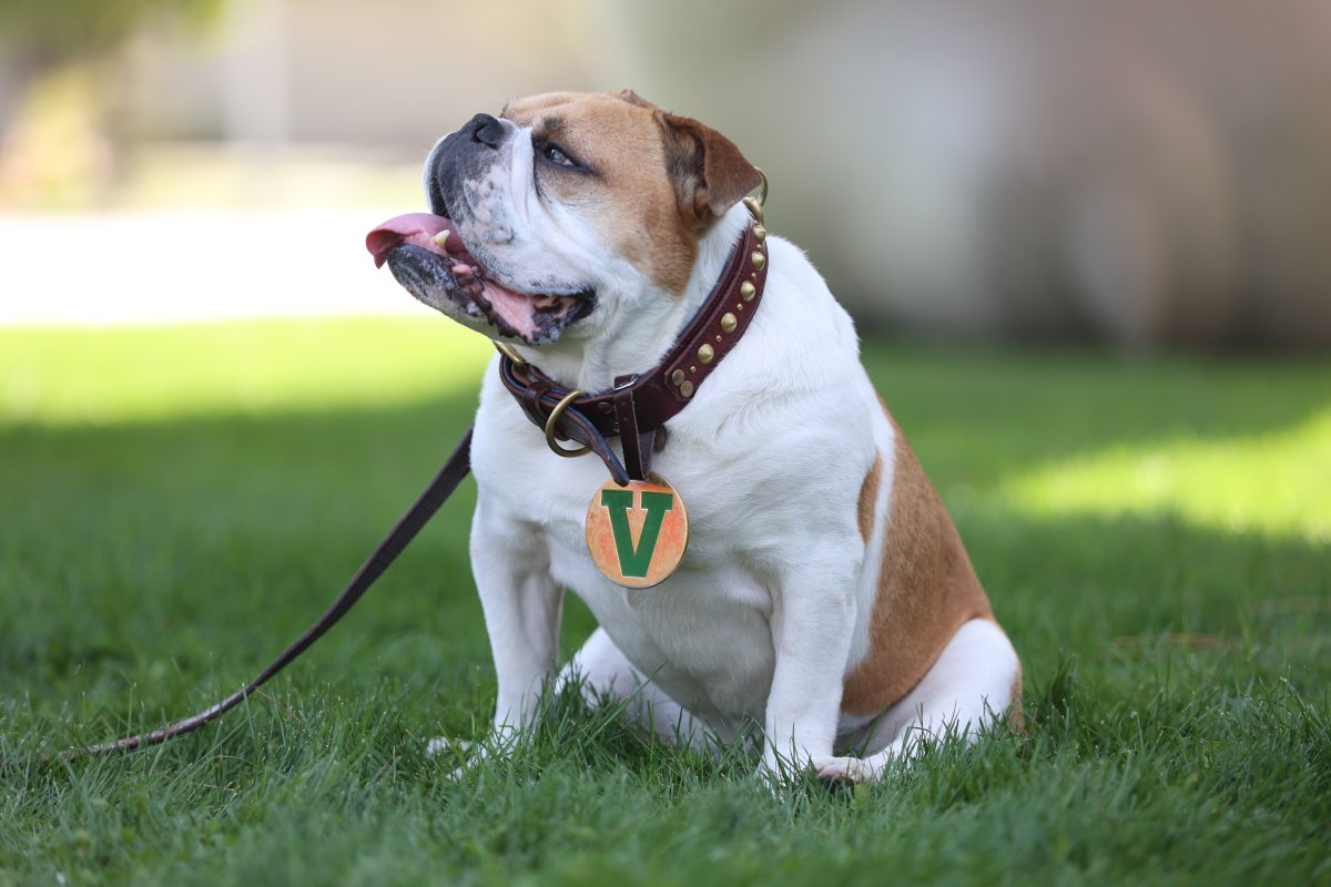 Victor E. Bulldog III, who has since retired from live mascot duties, will be commemorated with a statue. (Marcos Acosta/The Collegian)