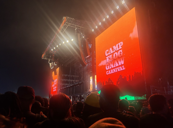 Tyler, The Creator has been hosting Camp Flog Gnaw since 2012.