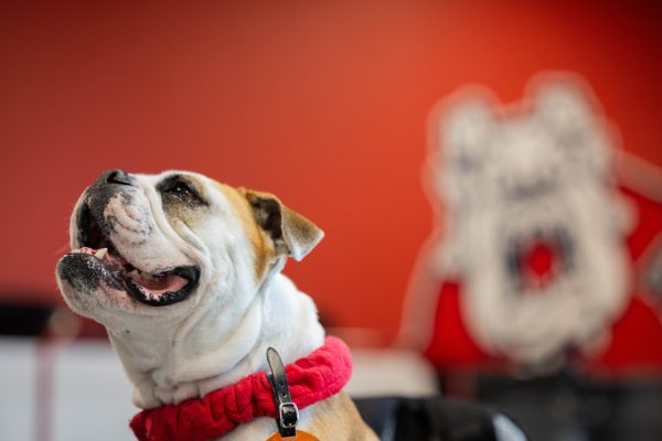 Victor E. Bulldog IV poses in front of the Fresno State Bulldog logo in the Resnick Student Union.