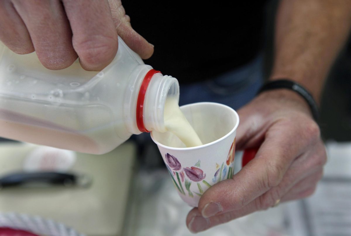 Ron Lemke, of Organic Pastures Dairy, pours the milk he sells, at a farmer's market, in Cupertino, California, on Friday, March 9, 2012. A study from the CDC reports that between 1993 and 2006, 60 percent of dairy-related disease outbreaks in the US were linked to non-pasteurized dairy products.