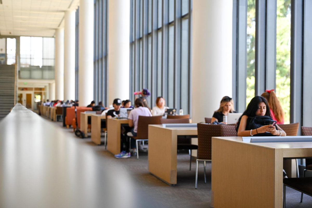 Students studying in the Fresno State Library on Sept. 5, 2024. 