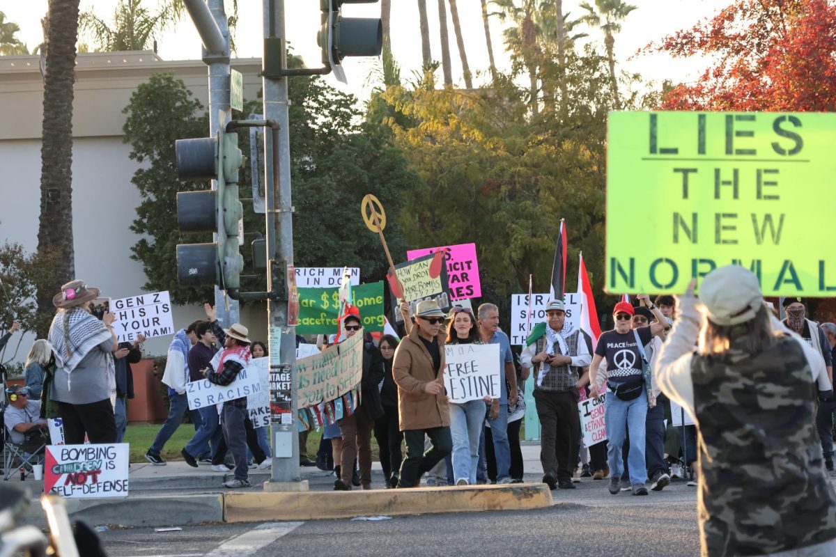 People march down Blackstone Avenue with signs and posters in a demonstration act to show solidarity with the people in Palestine on Nov. 9. 