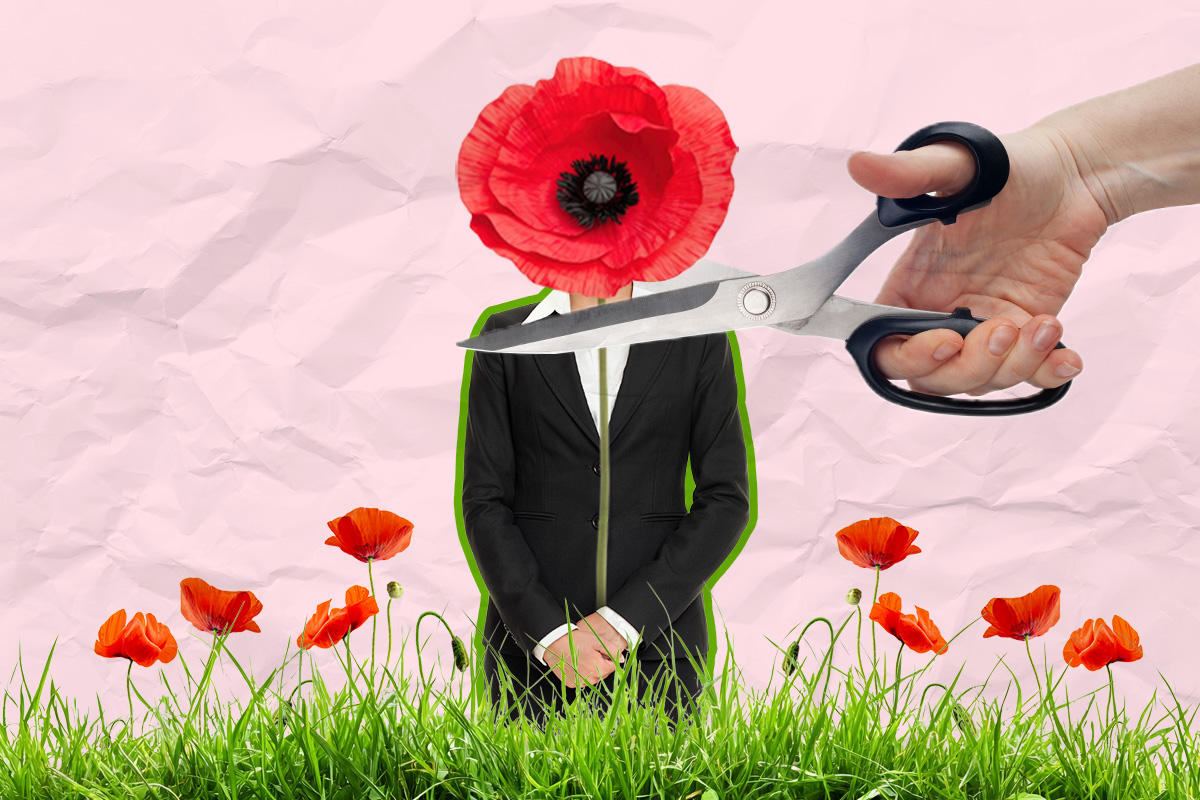 Cutting the tallest poppy