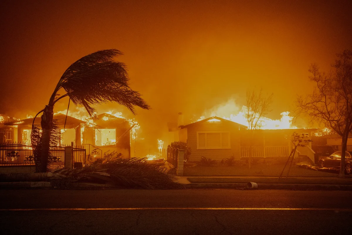 The LA fires will have a huge impact on the state's insurance market, experts said. Trees sway in high winds as the Eaton Fire burns structures in Altadena on Jan. 8, 2025. 