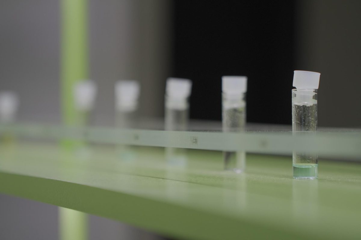 Vials containing saliva at the "Bodily Autonomy" art exhibit in the Phebe Conley Art Gallery. 