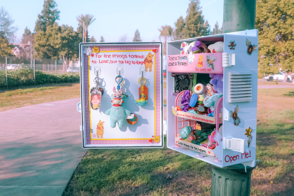 Trinket trade box at Cottonwood Park. 