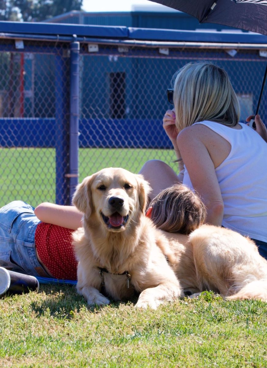 A girl rests her head on her dog's back during the Bark in the Park softball game on March 28.