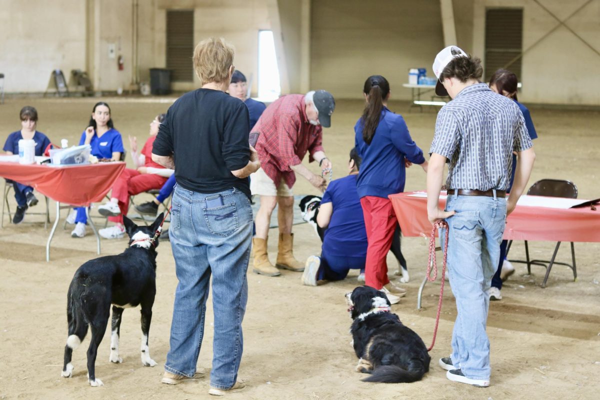 Several dogs with their owners await treatment at the pre-vet student clinic. 