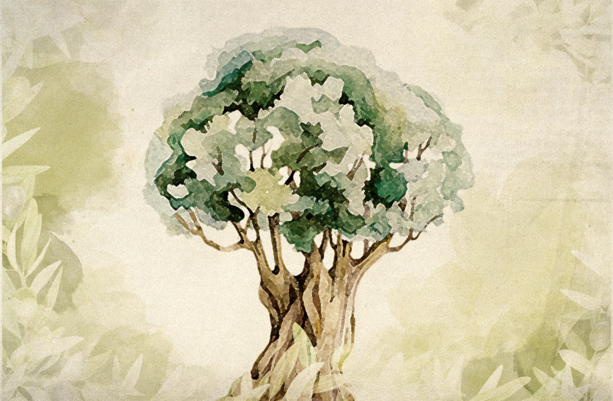 Opinion: A tree for peace, a statement for Palestine