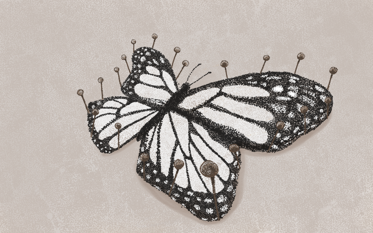 Preview: Flies, Cockroaches & Poets celebrates 26th volume launch